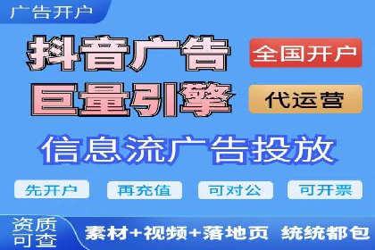 百度竞价广告与自然搜索排名的结合策略案例